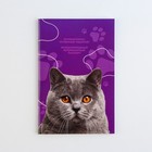 Ветеринарный паспорт международный универсальный для кошек - фото 6795663