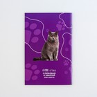 Ветеринарный паспорт международный универсальный для кошек - фото 8995378