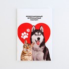 Ветеринарный паспорт международный универсальный паттерн «Сердце» - фото 9827146