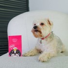 Ветеринарный паспорт международный «Собачья радость» - Фото 2