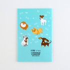 Ветеринарный паспорт международный универсальный для собак - Фото 7