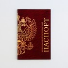 Ветеринарный паспорт международный универсальный - Фото 2