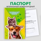 Ветеринарный паспорт международный универсальный «Кот и Собака» - фото 8572560