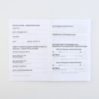 Ветеринарный паспорт международный «Рыжий кот» - Фото 4