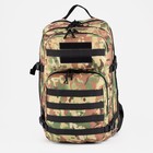 Рюкзак тактический, Taif, 40 л, отдел на молнии, 3 наружных кармана, цвет камуфляж/бежевый - Фото 3