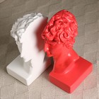 Подставка для книг "Бюст Давида" набор, бело-розовый, 25см - Фото 6