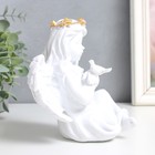 Сувенир полистоун свет "Ангел со звёздным венком и голубем" белый МИКС 12х11,5х15 см 9313729