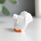 Сувенир полистоун "Белые голуби" МИКС 2,5х4,7х3 см - фото 24543706