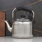 Чайник из нержавеющей стали, 3,5 л, цвет хромированный - Фото 1