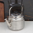 Чайник из нержавеющей стали, 3,5 л, цвет хромированный - Фото 2