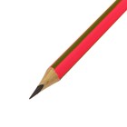 Карандаш чернографитный Berlingo «Fuze», HB, трёхгранный, заточенный, с ластиком, ассорти - Фото 9