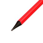 Карандаш чернографитный Berlingo «Flexy Neon» HB, заточенный, пластиковый, ассорти - Фото 3