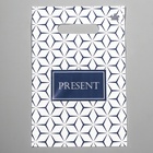 Пакет «Презент стиль», полиэтиленовый с вырубной ручкой, 20?30 см, 30 мкм (комплект 100 шт) - фото 67969990