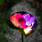 Садовый светильник на солнечной батарее «Лотос», 70 см, 1 LED, свечение мульти (RGB) - фото 10220177