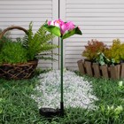 Садовый светильник на солнечной батарее «Лотос», 70 см, 1 LED, свечение мульти (RGB) - фото 6797137