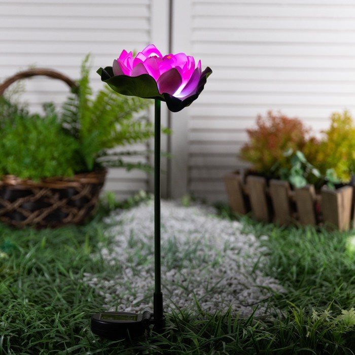 Садовый светильник на солнечной батарее «Лотос», 70 см, 1 LED, свечение белое - фото 1898831354