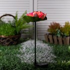 Садовый светильник на солнечной батарее «Лотос», 70 см, 1 LED, свечение тёплое белое - фото 6797150