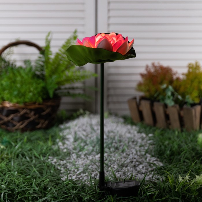 Садовый светильник на солнечной батарее «Лотос», 70 см, 1 LED, свечение тёплое белое - фото 1898831361
