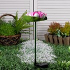 Садовый светильник на солнечной батарее «Лотос», 70 см, 1 LED, свечение тёплое белое - фото 6797151