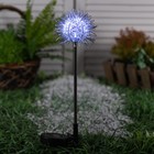 Садовый светильник на солнечной батарее «Морской ёж», 70 см, 1 LED, свечение белое - фото 3810268