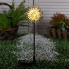 Садовый светильник на солнечной батарее «Морской ёж», 70 см, 1 LED, свечение тёплое белое - фото 10220230