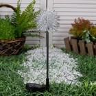 Садовый светильник на солнечной батарее «Морской ёж», 70 см, 1 LED, свечение тёплое белое - Фото 2