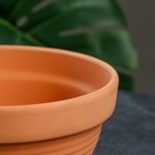 Горшок цветочный "Калипсо" терракотовый 1,5 л - фото 22483882