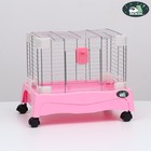 Клетка для грызунов с колёсами и выдвижным поддоном, 49 х 33 х 37 см, розовая - фото 2118359