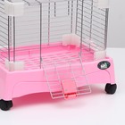 Клетка для грызунов с колёсами и выдвижным поддоном, 49 х 33 х 37 см, розовая - Фото 5