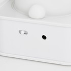 Фигурка светящаяся RISALUX «Зайчик», LED-ночник, от USB или батареек 4×АА, белый, 9×9×19 см 9103309 - фото 14684977