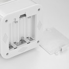 Фигурка светящаяся RISALUX «Зайчик», LED-ночник, от USB или батареек 4×АА, белый, 9×9×19 см 9103309 - фото 14684978