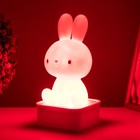 Фигурка светящаяся RISALUX «Зайчик», LED-ночник, от USB или батареек 4×АА, белый, 9×9×19 см 9103309 - фото 14684967