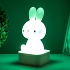Фигурка светящаяся RISALUX «Зайчик», LED-ночник, от USB или батареек 4×АА, белый, 9×9×19 см 9103309 - фото 14684971