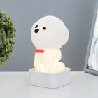 Ночник "Собачка" LED от USB/батареек 4хАА белый 11,5х11х19 см RISALUX - фото 21994208