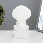 Ночник "Собачка" LED от USB/батареек 4хАА белый 11,5х11х19 см RISALUX - фото 21994217