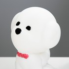 Ночник "Собачка" LED от USB/батареек 4хАА белый 11,5х11х19 см RISALUX - фото 21994219