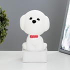 Ночник "Собачка" LED от USB/батареек 4хАА белый 11,5х11х19 см RISALUX - фото 21994216