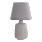 Настольная лампа "Джайм" Е14 40Вт серый 25х25х38 см RISALUX - фото 42756504