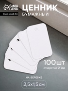 Ценники на верёвке, 100 шт. отверстие 2 мм, 2.5×1.5 см, белый - Фото 1
