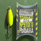 Блесна колеблющаяся «Лучшему рыбаку №1», 3,5 гр, 4 см - фото 25496373