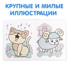 Водная раскраска «Рисуй водой!», 12 стр. - Фото 3