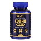 Холин GLS для мозга и похудения, 120 капсул по 400 мг - Фото 1