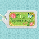Аромасаше из гипса с цветной вклейкой "Ты лучше всех", аромат белого мускуса - Фото 1