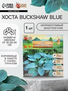 Хоста Buckshaw Blue, корневище в пакете с торфогрунтом, р-р I, размер M,1 шт. - Фото 1