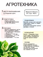 Хоста "Francee", р-р I, размер M,1 шт, Весна 2025 9491985 - фото 4332656