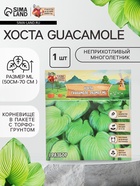 Хоста Guacamole, корневище в пакете с торфогрунтом, р-р I, размер ML,1 шт. - Фото 1