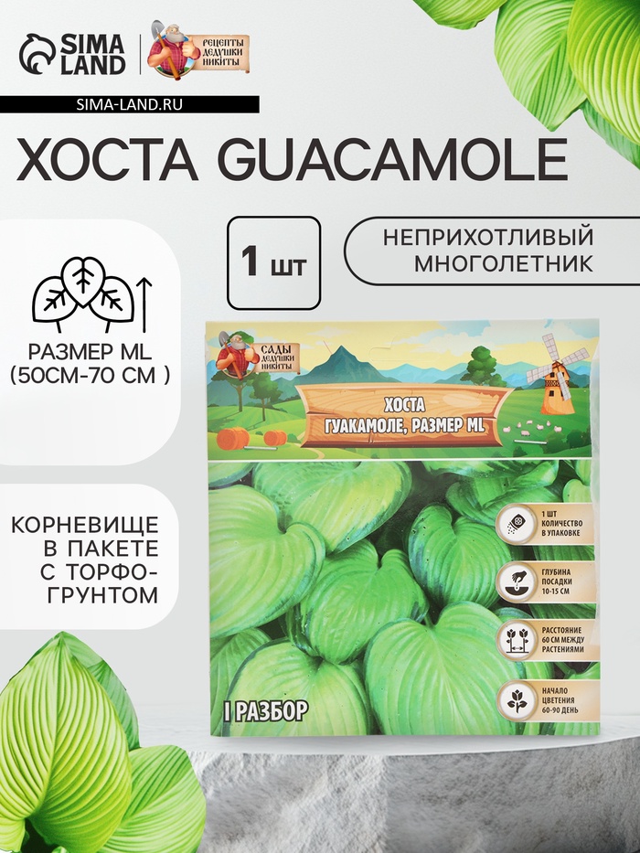 Хоста Guacamole, корневище в пакете с торфогрунтом, р-р I, размер ML,1 шт. - Фото 1