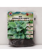 Хоста Marmalade on Toast, корневище в пакете с торфогрунтом, р-р I, размер M,1 шт. - Фото 5