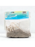 Хоста Moerheim, корневище в пакете с торфогрунтом, р-р I, размер L,1 шт. - Фото 7