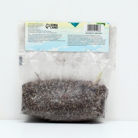 

Хоста "Stirfry", р-р I, размер SM,1 шт, Весна 2023